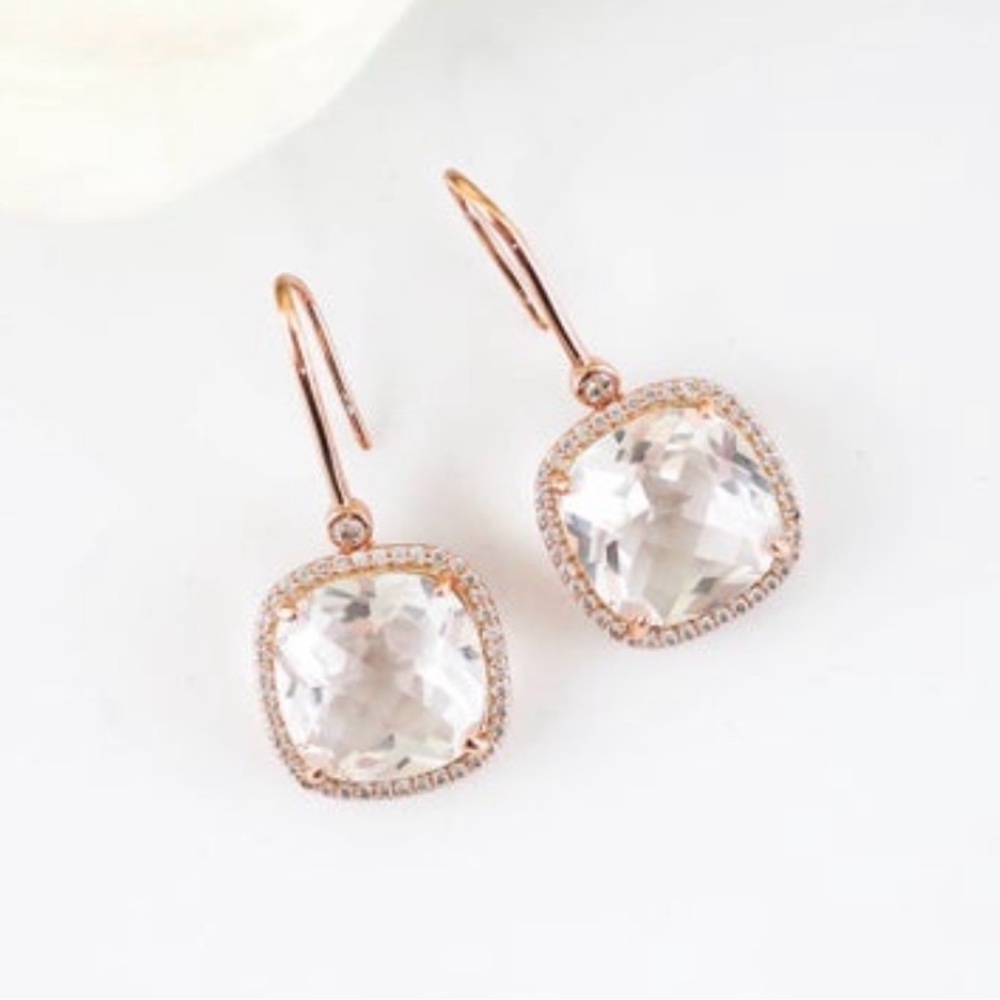 Elegant Rose Gold Plated Drop Wire Drop Earrings Zircon Jewelry for Women
